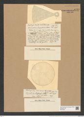 Coscinodiscus janischii var. arafurensis Grun (de-Toni-Nr.: Genus 202, Species 5021) Zeichnungen Sammlung Grunow Nr. 8740 (NHMW-BOT-W0378324)